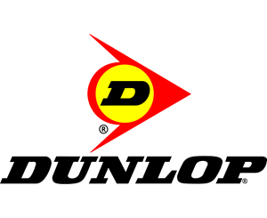 Новые летние шины Dunlop