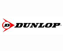 На новые Lexus UX установят шины Dunlop