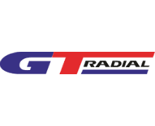 Новые легкогрузовые шины GT Radial