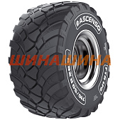 Ascenso FTR 170 (сг) 800/45 R26.5 174D