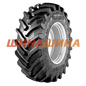 Trelleborg TM1000 HIGH POWER (сг) 650/65 R38 169D IF